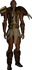 The Druid at the hero select fire