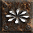 Poison Nova skill icon