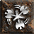 Whirlwind skill icon
