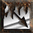 Immolation Arrow skill icon